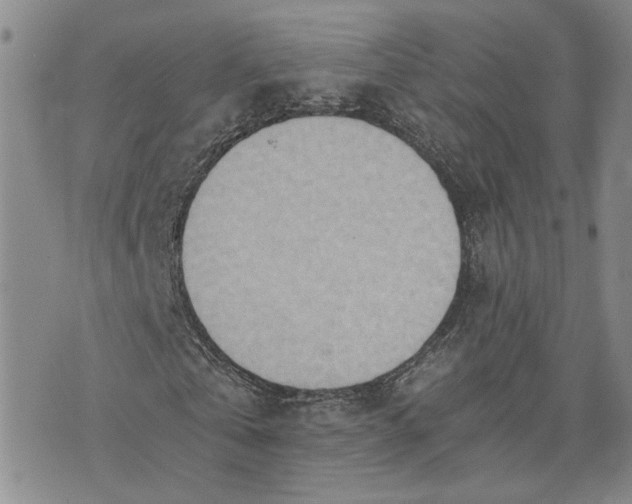 X0000072980769200608041242