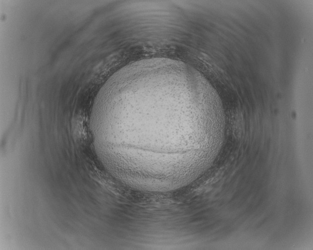 X0000072980770200608041242