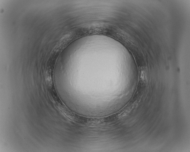 X0000072980771200608041242