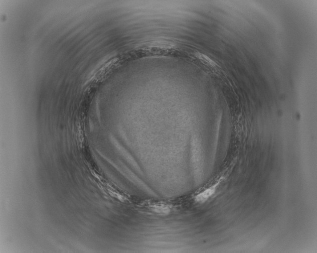 X0000072980774200608041242