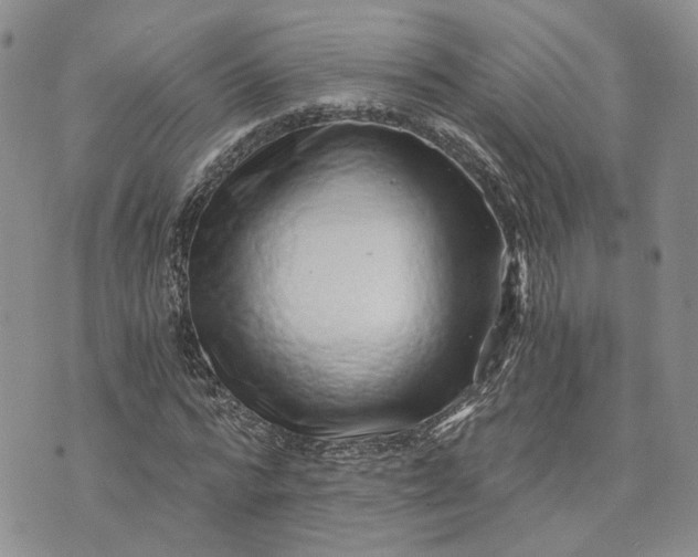 X0000072980776200608041242