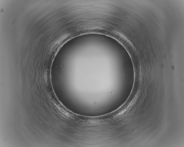 X0000072980777200608041242