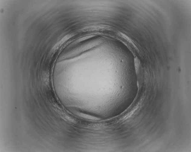 X0000072980778200608041242