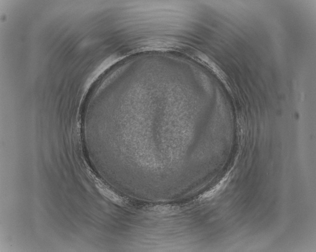 X0000072980779200608041242