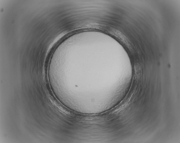 X0000072980780200608041242