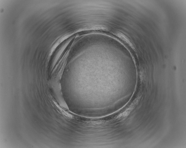 X0000072980781200608041242