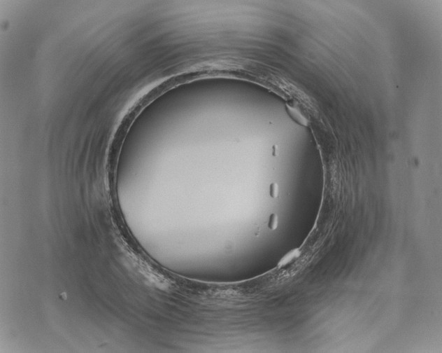 X0000072980784200608041242