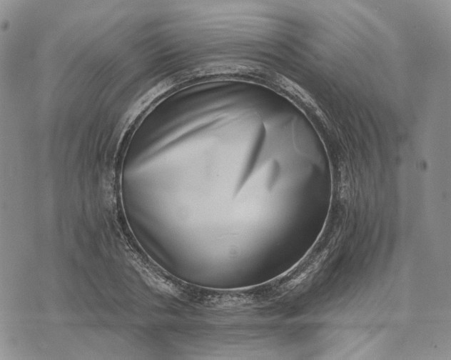 X0000072980786200608041242