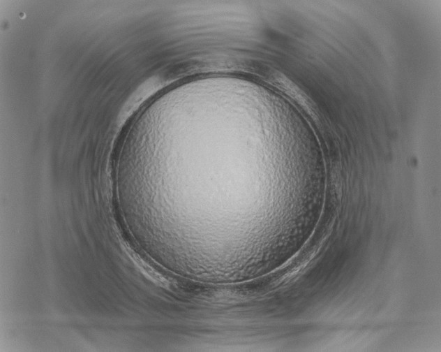 X0000072980787200608041242