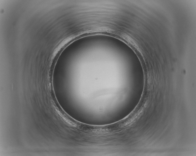 X0000072980789200608041242