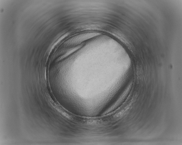 X0000072980790200608041242