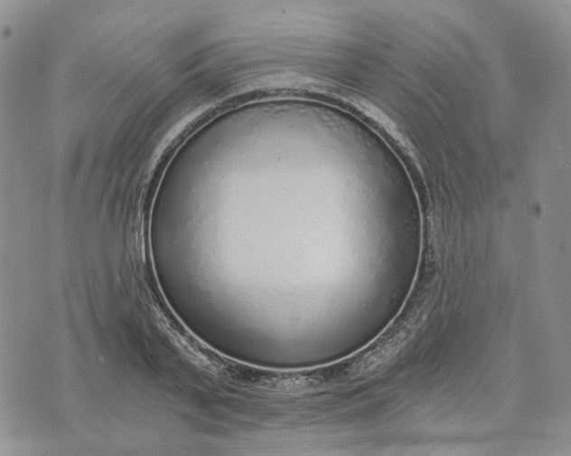 X0000072980791200608041242