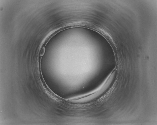 X0000072980792200608041242