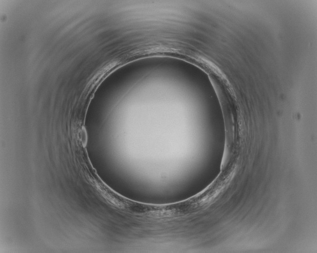 X0000072980793200608041242