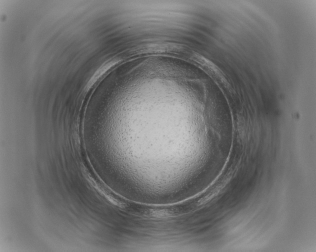 X0000072980794200608041242