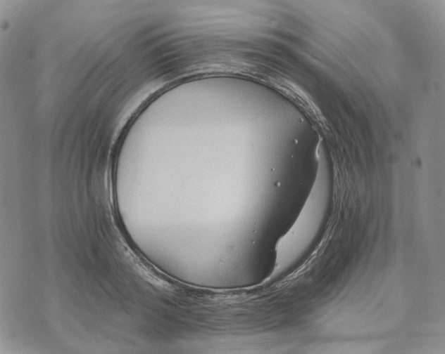 X0000072980796200608041242