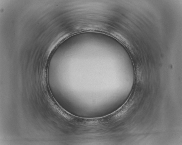 X0000072980798200608041242