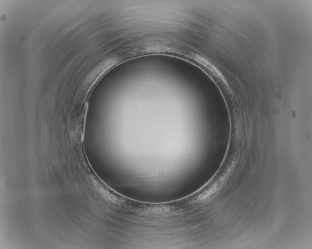 X0000072980801200608041242