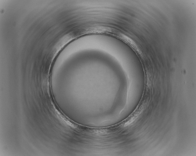 X0000072980802200608041242