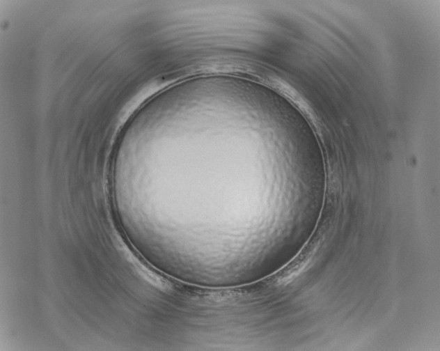 X0000072980803200608041242