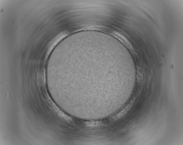 X0000072980804200608041242