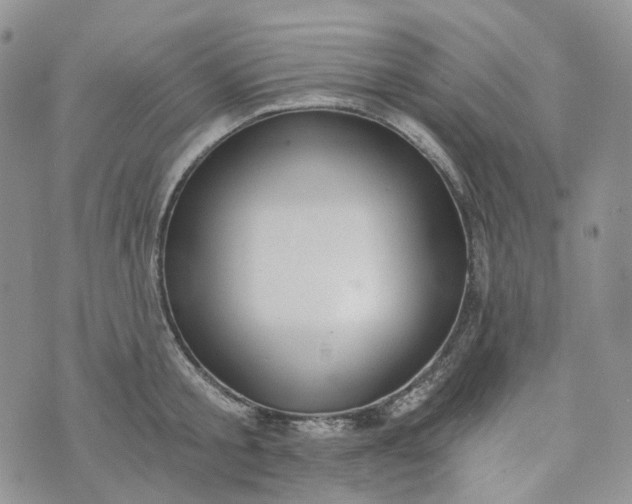 X0000072980805200608041242