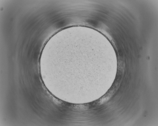 X0000072980807200608041241