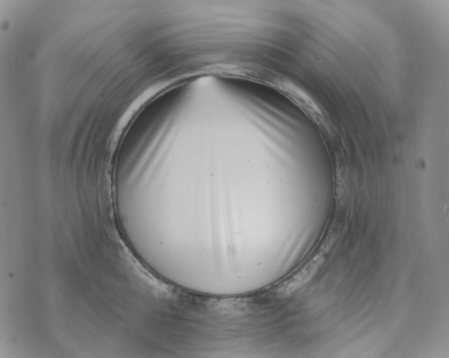 X0000072980808200608041241