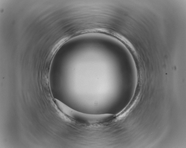 X0000072980809200608041241