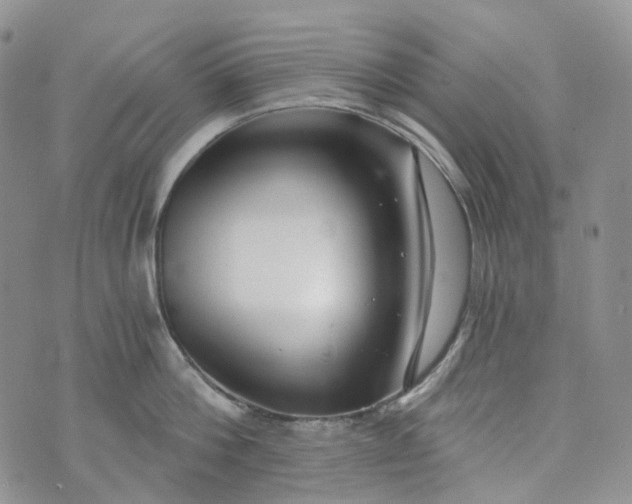 X0000072980812200608041241