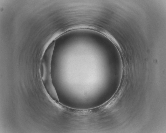 X0000072980813200608041241