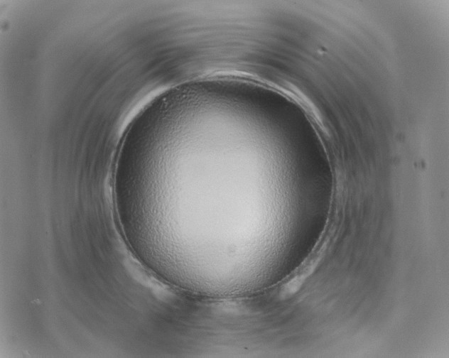 X0000072980814200608041241