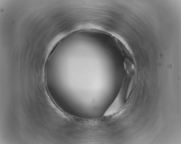 X0000072980815200608041241