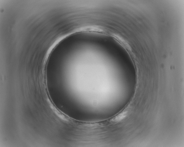 X0000072980816200608041241