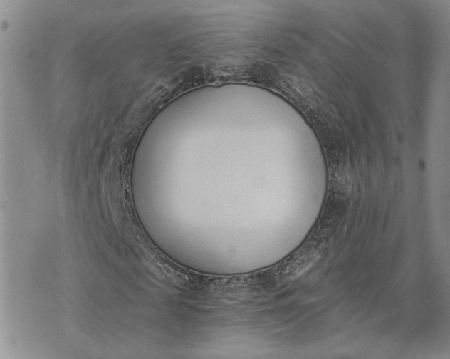 X0000072980817200608041241