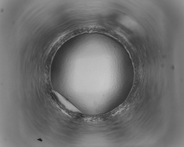 X0000072980823200608041241