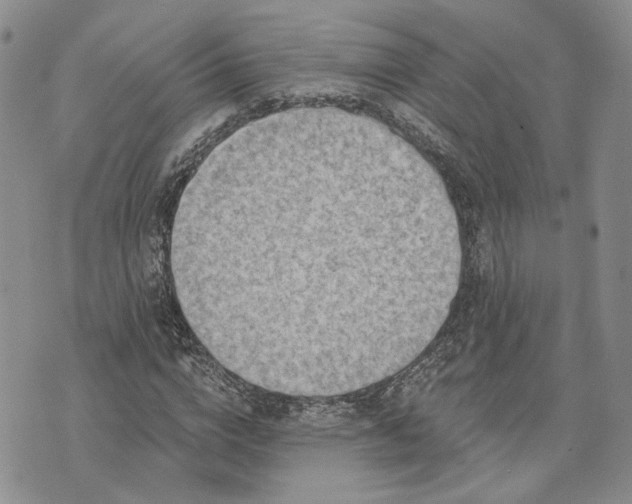 X0000072980824200608041241