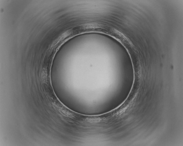 X0000072980825200608041241