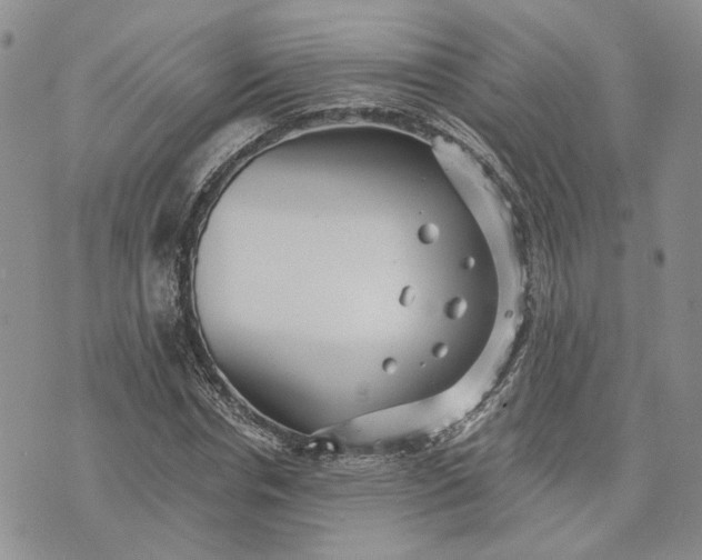 X0000072980826200608041241