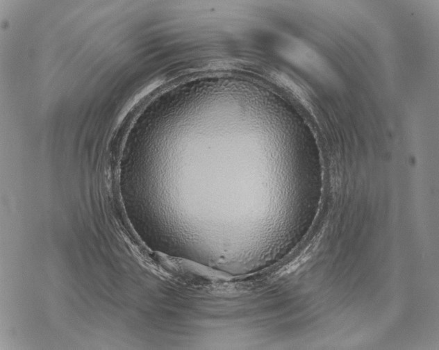 X0000072980827200608041241