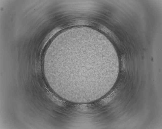 X0000072980828200608041241