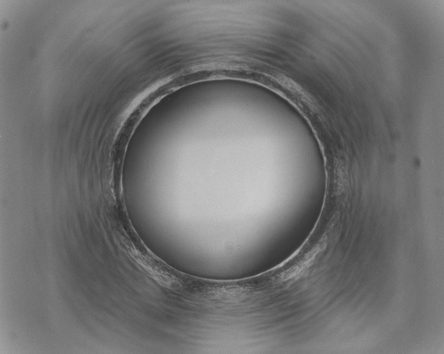 X0000072980830200608041241