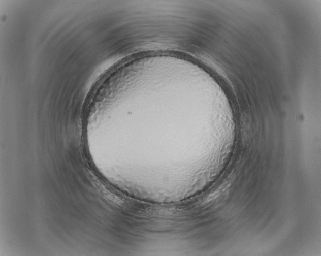 X0000072980831200608041241