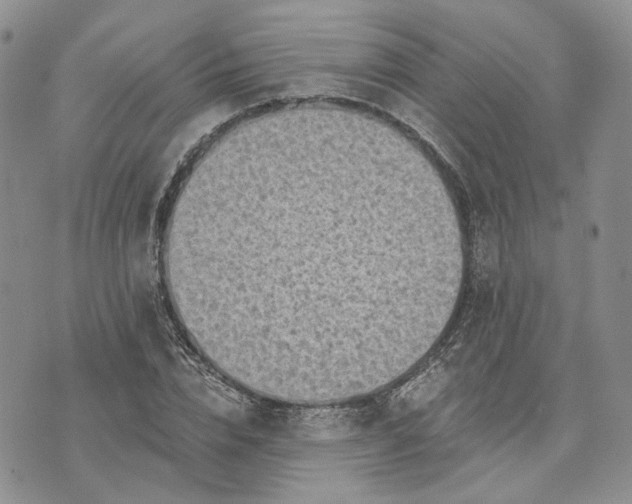 X0000072980832200608041241