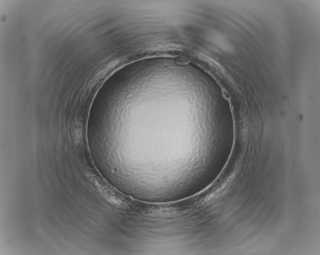 X0000072980833200608041241