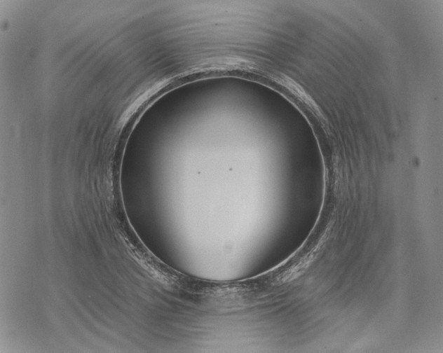 X0000072980834200608041241