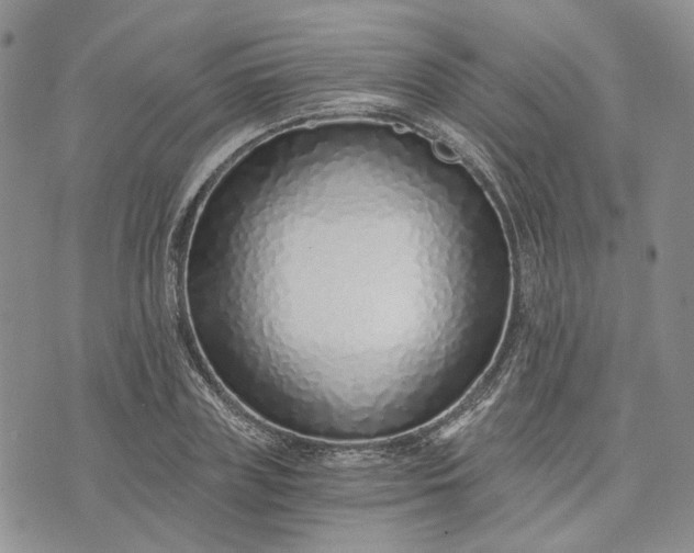 X0000072980835200608041241