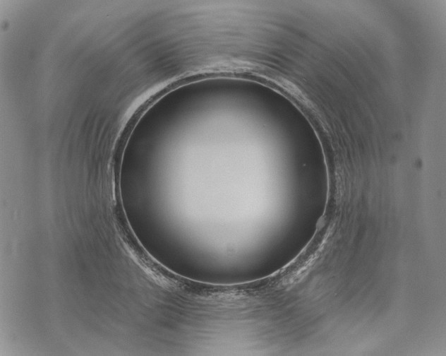 X0000072980838200608041241