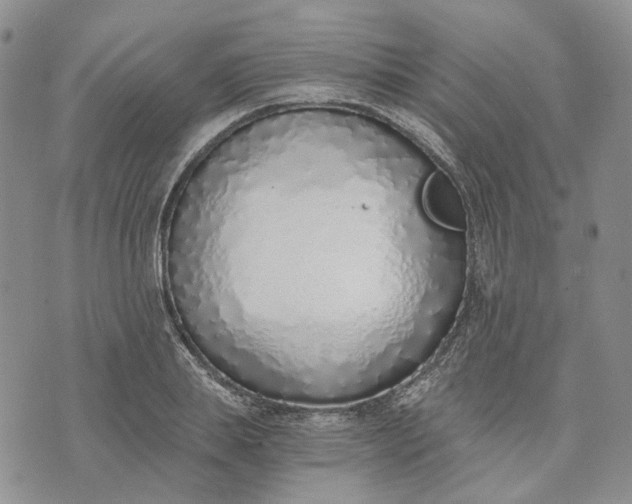 X0000072980839200608041241