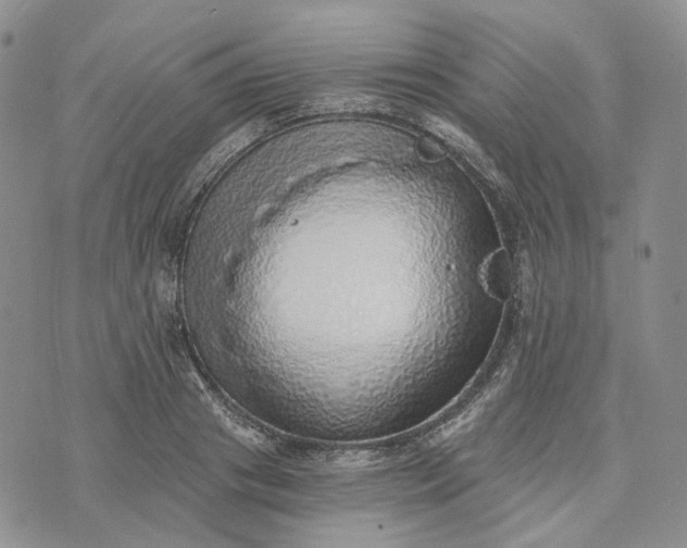 X0000072980841200608041241